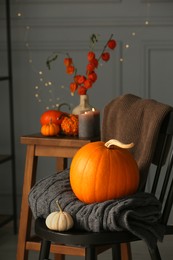 Beautiful autumn composition with pumpkins and blanket on chair indoors