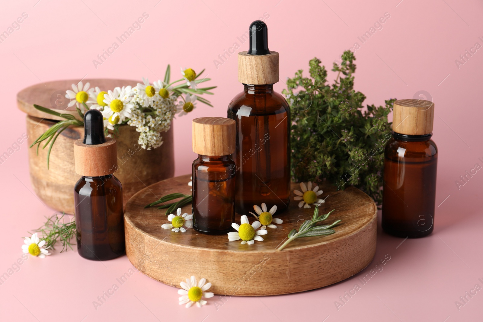 Photo of Aromatherapy. Different essential oils and flowers on pink background