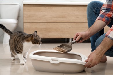 Photo of Young man cleaning cat litter tray at home, closeup