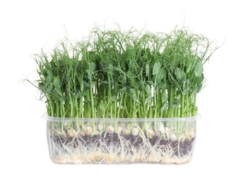 Photo of Fresh organic microgreen in plastic container on white background