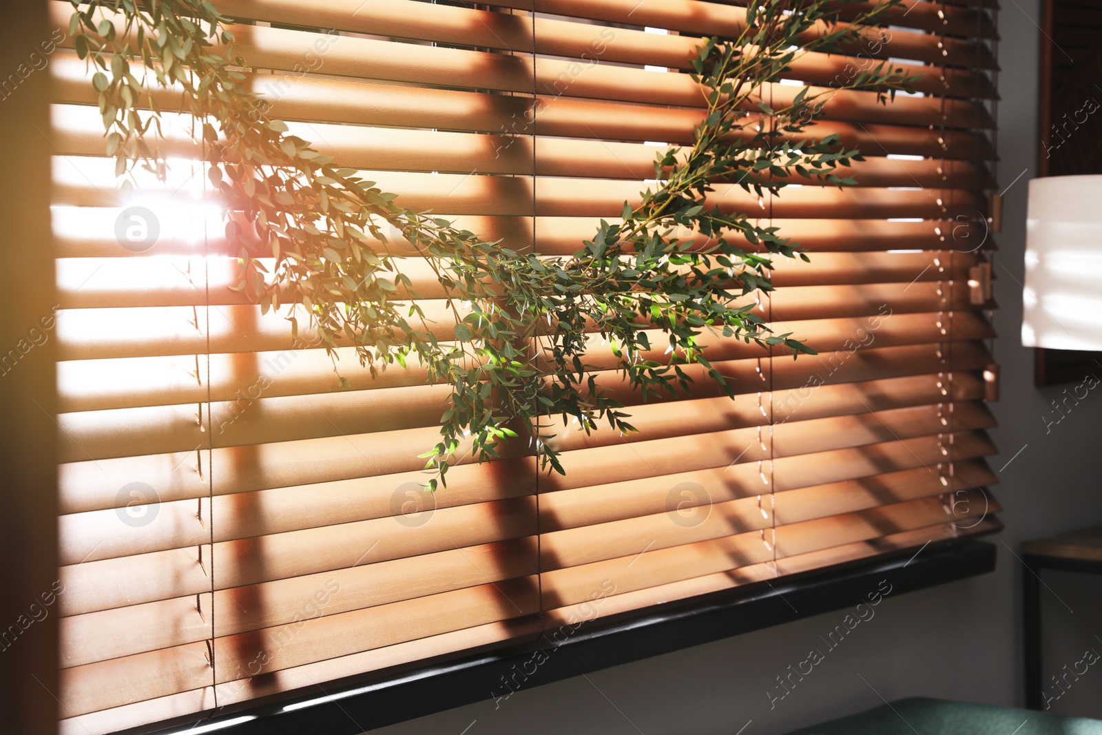 Photo of Beautiful garland made of eucalyptus branches hanging on window blinds indoors