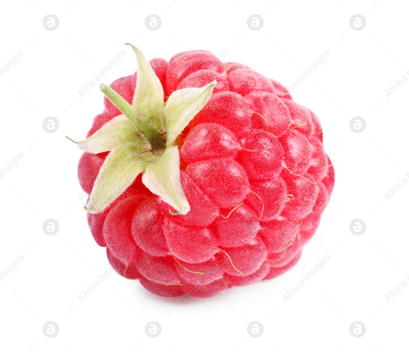 Photo of One tasty ripe raspberry isolated on white