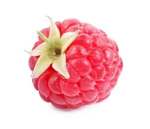 One tasty ripe raspberry isolated on white