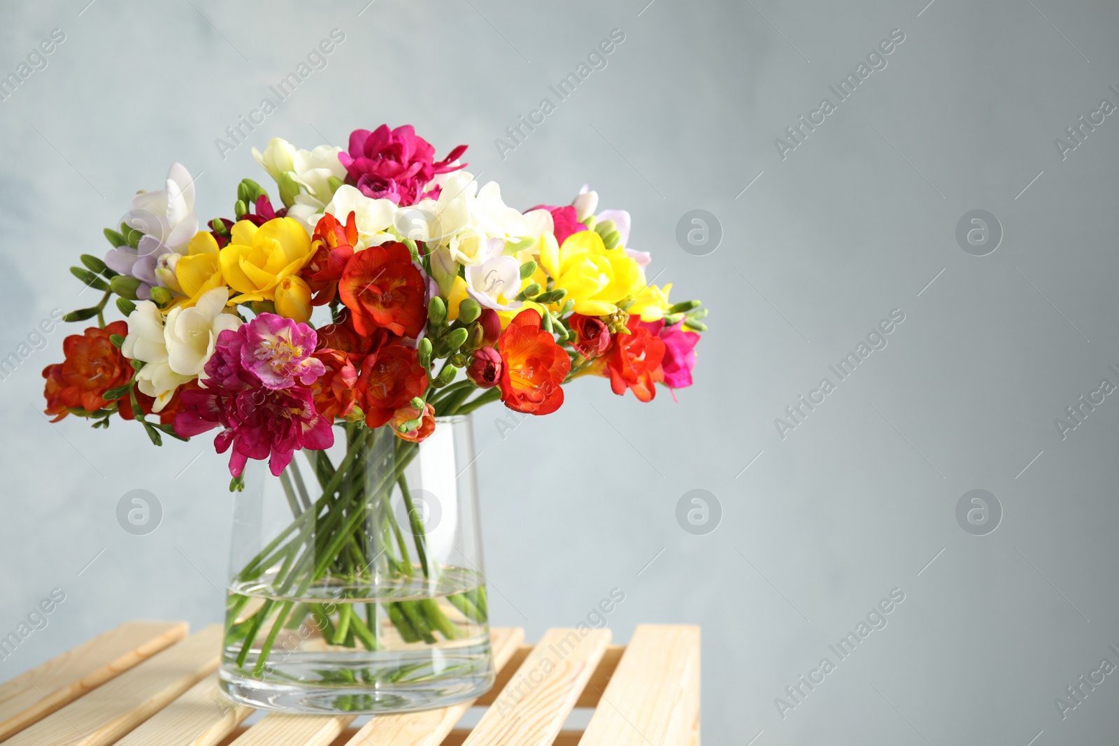 Photo of Bouquet of spring freesia flowers in vase on color background. Space for text