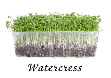 Image of Fresh organic microgreen in plastic container on white background