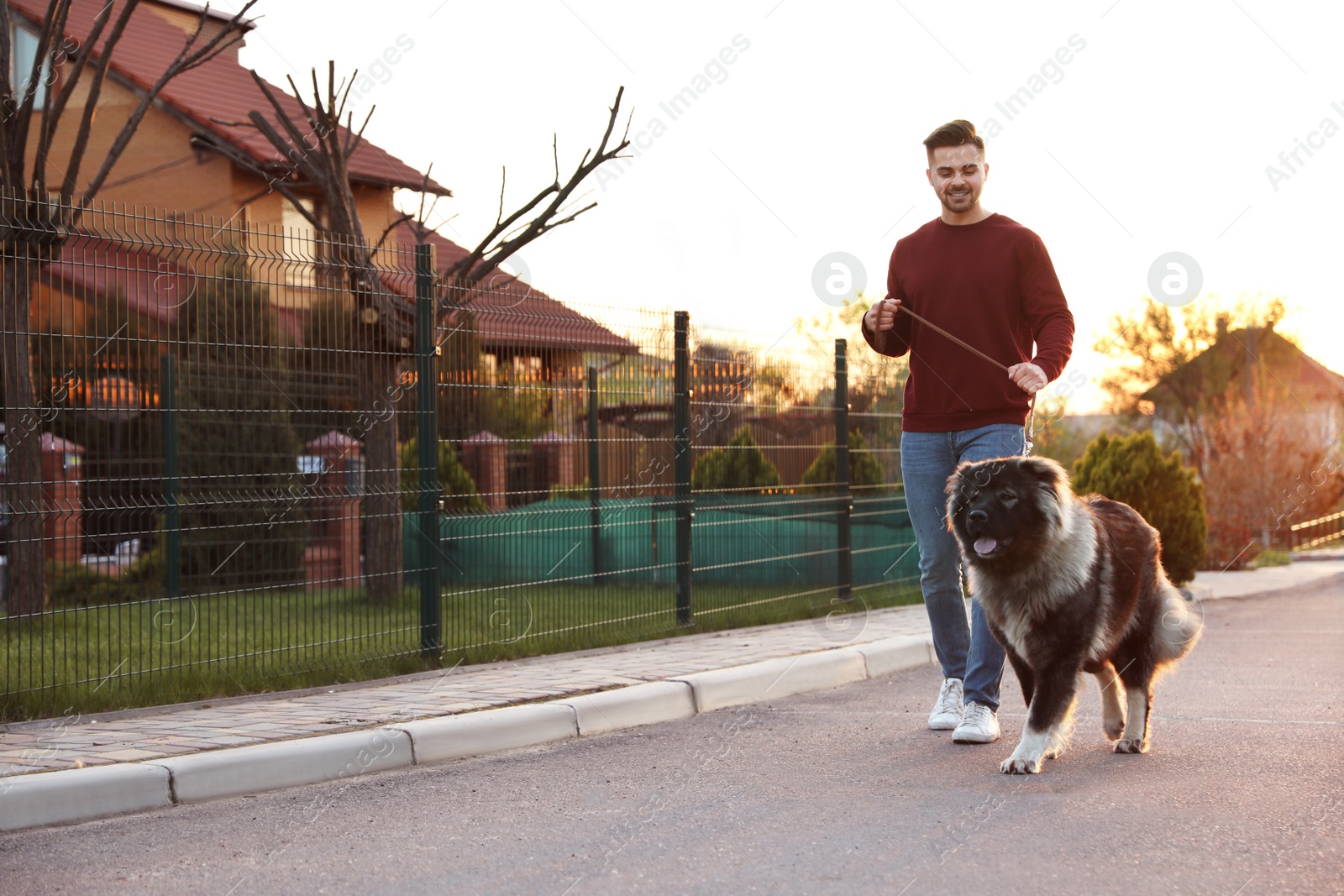 Photo of Young man walking his Caucasian Shepherd dog outdoors