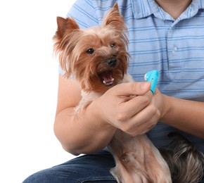 Photo of Man brushing dog's teeth on white background, closeup