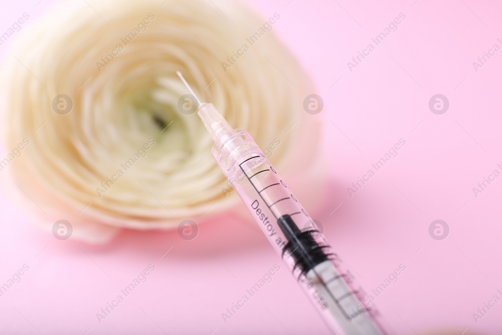 Photo of Cosmetology. Medical syringe and ranunculus flower on pink background, closeup