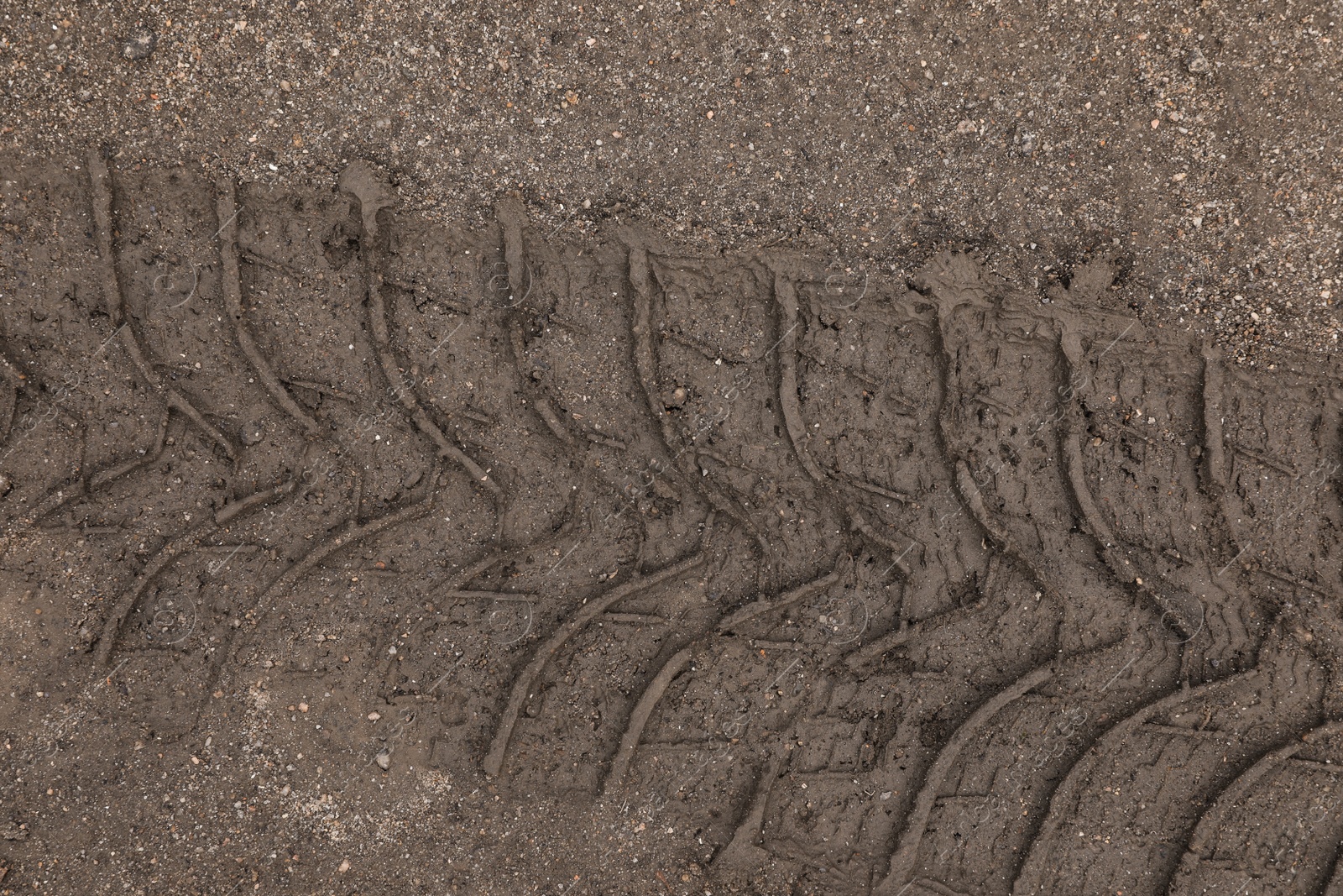 Photo of Texture of wet ground surface as background, top view