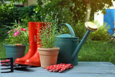 Photo of Beautiful flowers and gardening tools on grey wooden table at backyard