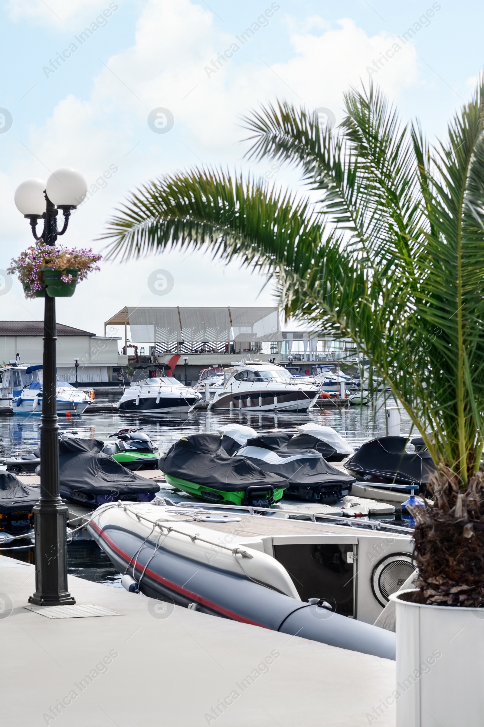 Photo of Beautiful view of city pier with moored boats and palm on sunny day