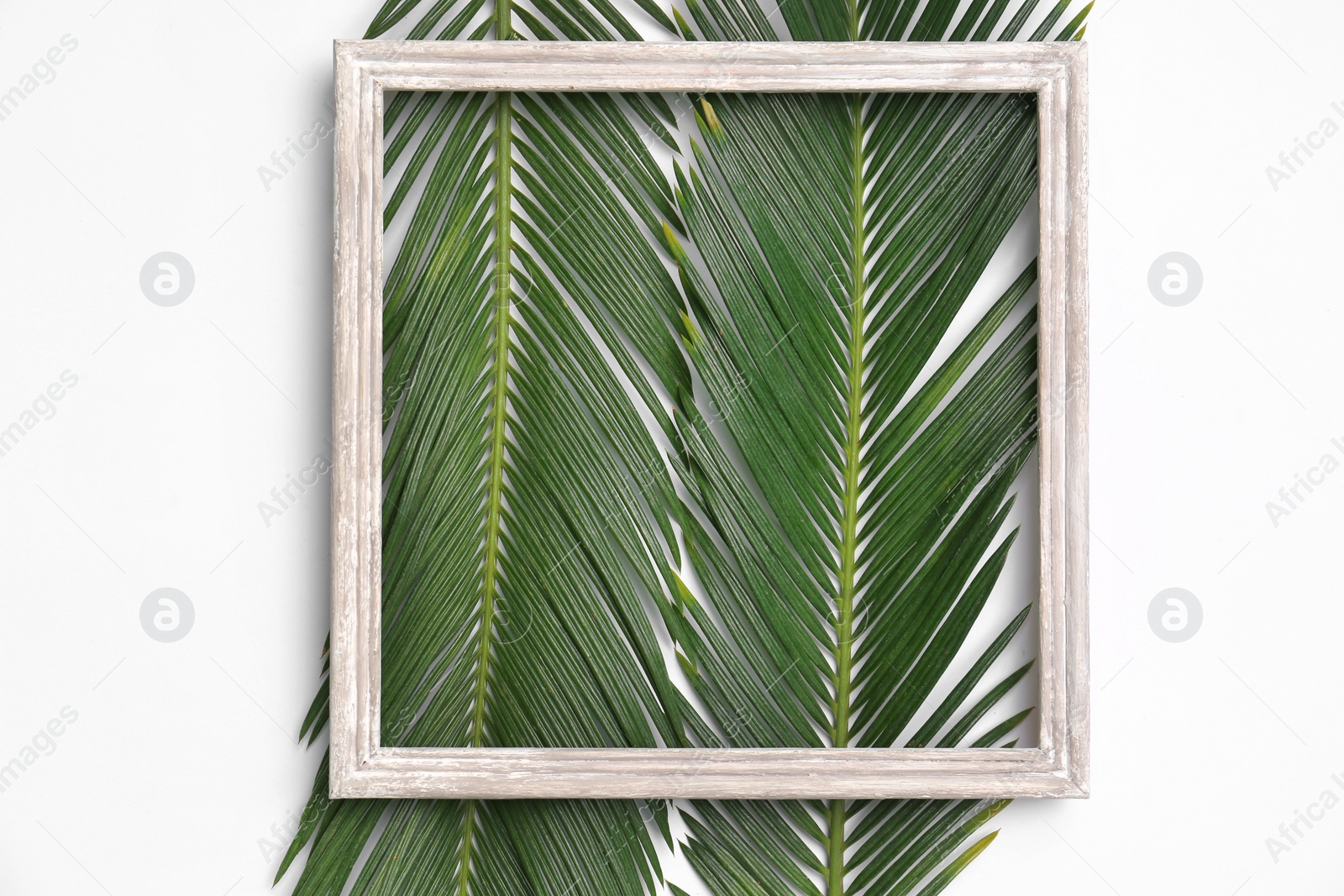 Photo of Beautiful composition with tropical leaves on light background, top view