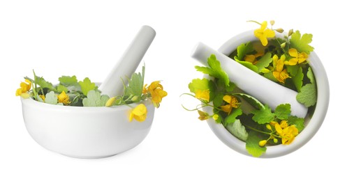 Image of Celandine and pestles in mortars on white background, collage