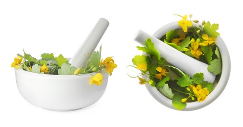 Celandine and pestles in mortars on white background, collage