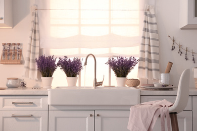 Photo of Beautiful lavender flowers on countertop near sink in kitchen