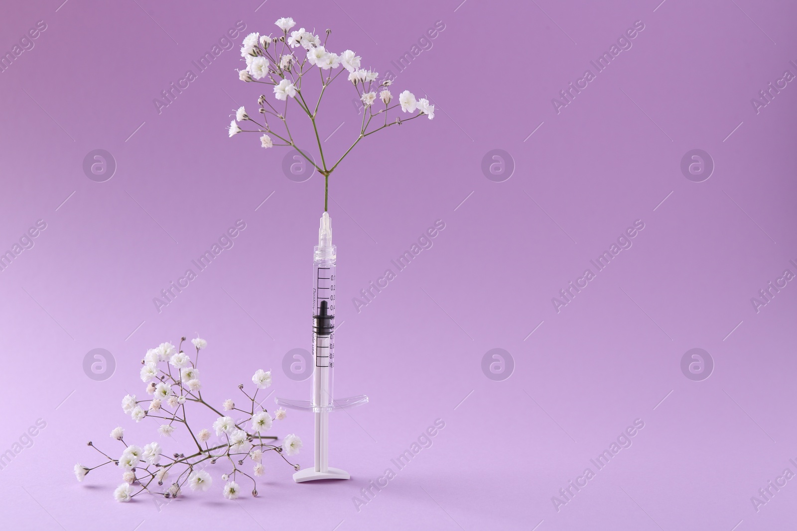 Photo of Cosmetology. Medical syringe and gypsophila on violet background, space for text