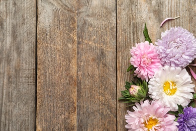 Photo of Beautiful aster flowers and space for text on wooden background, flat lay