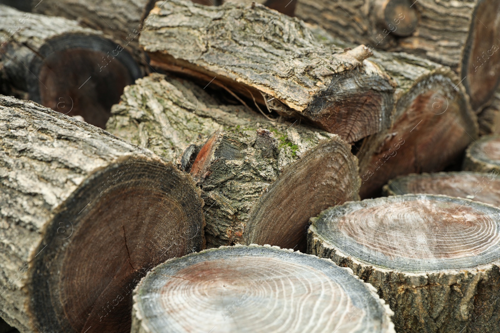 Photo of Pile of cut firewood, closeup view. Heating in winter