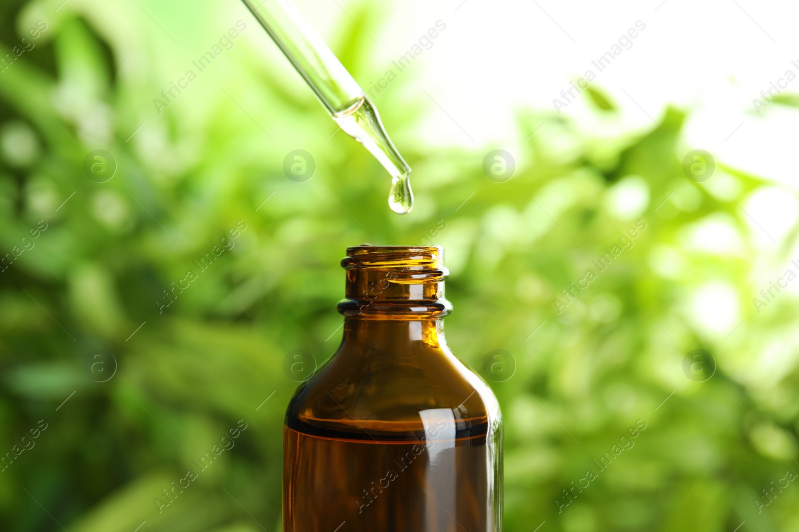 Photo of Essential oil dripping from pipette into glass bottle on blurred background, closeup