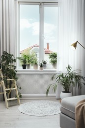 Photo of Many different houseplants in room. Interior design