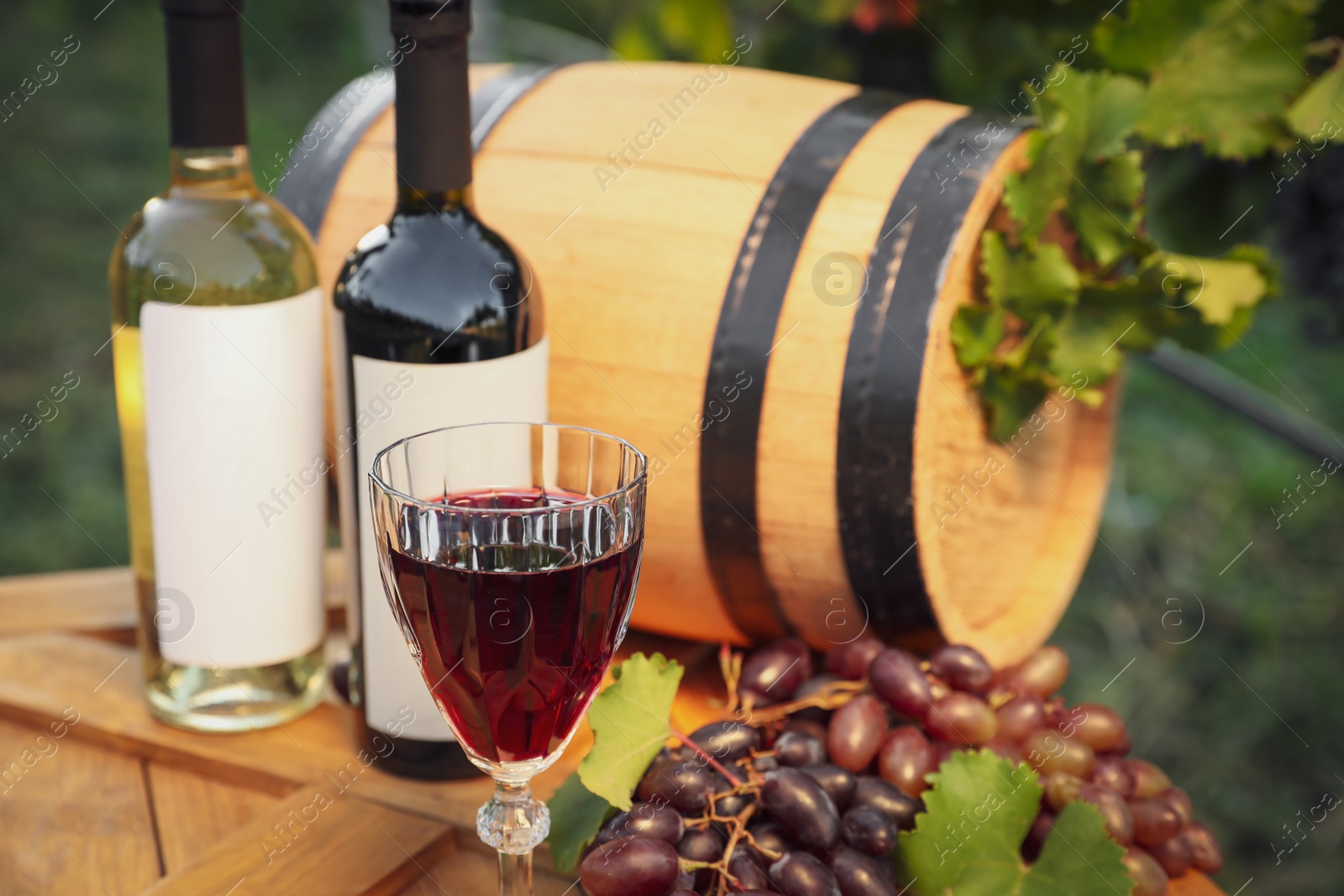 Photo of Composition with wine and ripe grapes on wooden table in vineyard