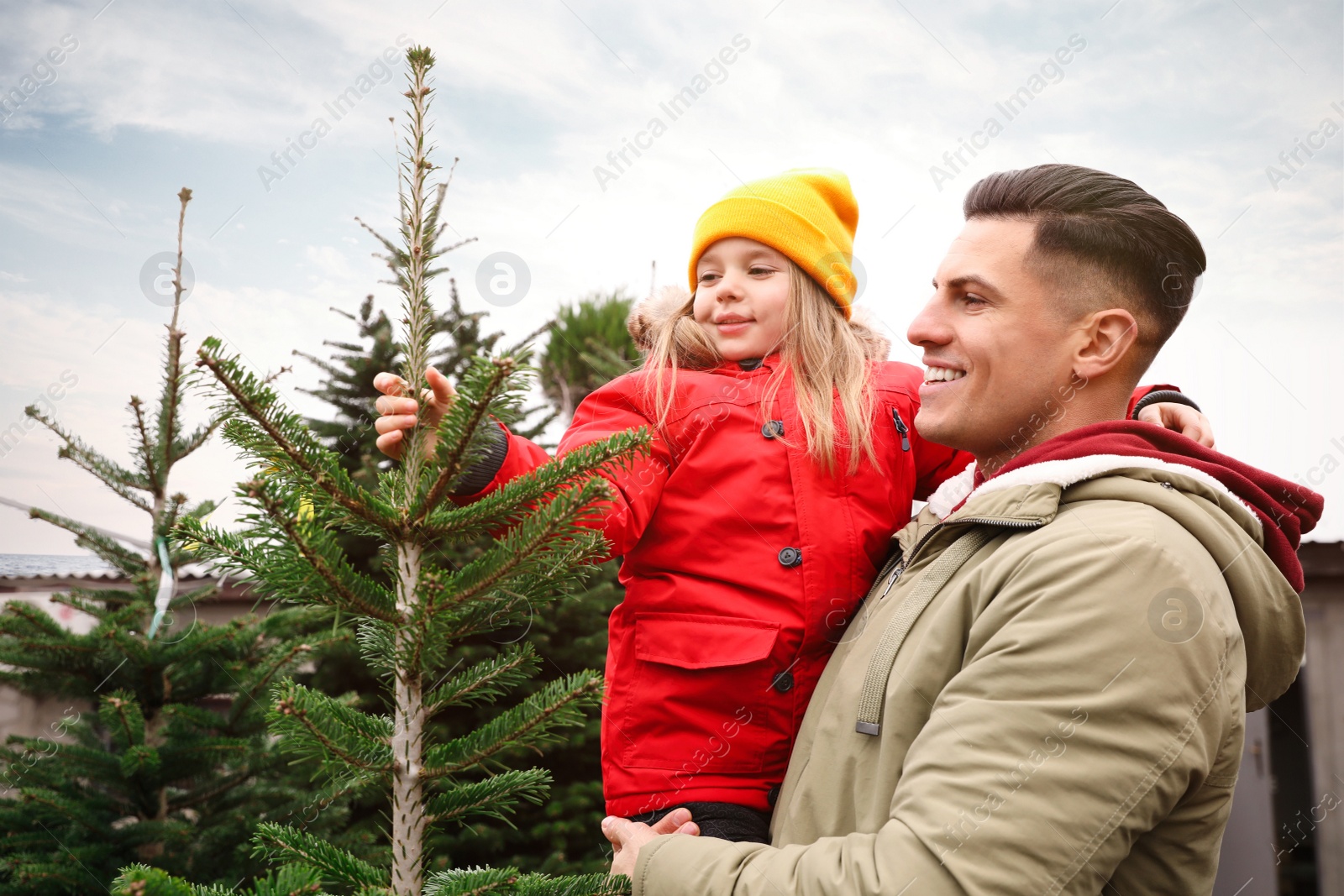 Photo of Father and daughter choosing plants at Christmas tree farm