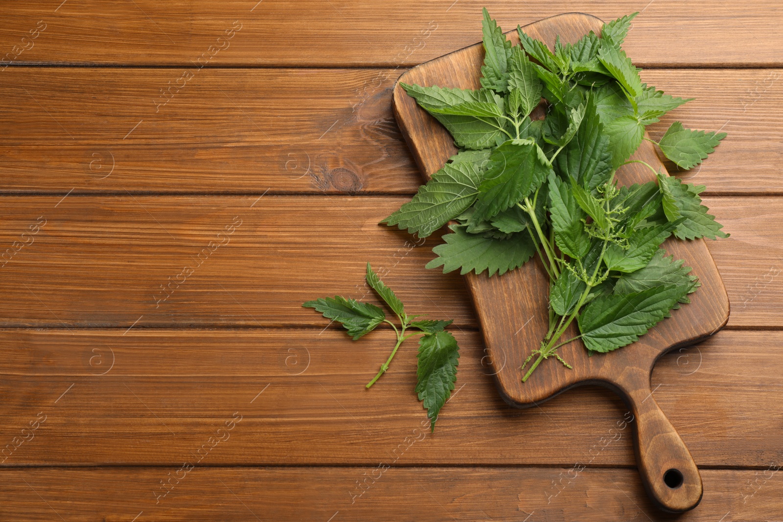 Photo of Fresh stinging nettle leaves on wooden table, flat lay. Space for text