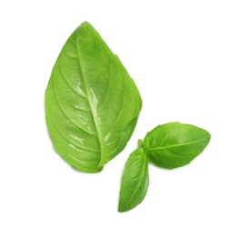 Photo of Fresh green basil leaves on white background, top view