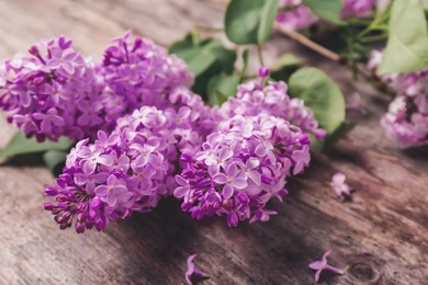 Image of Blossoming lilac on wooden background. Spring flowers