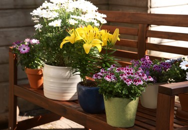 Many different beautiful blooming plants in flowerpots on wooden bench outdoors