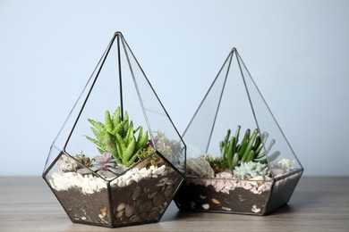 Glass florarium vases with succulents on wooden table