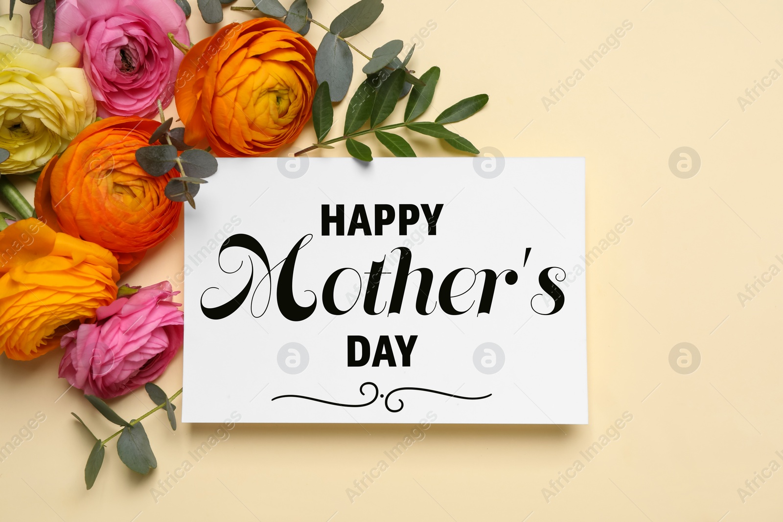 Image of Happy Mother's Day greeting card and beautiful ranunculus flowers on beige background, flat lay