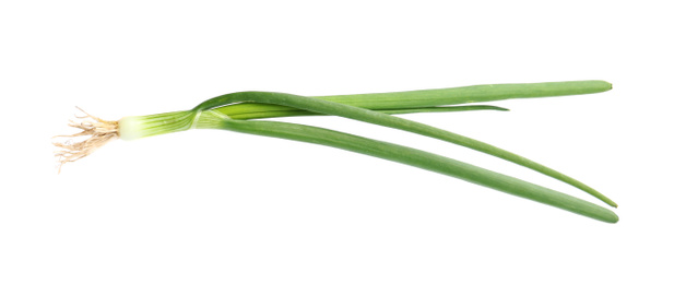 Photo of Fresh green spring onion isolated on white