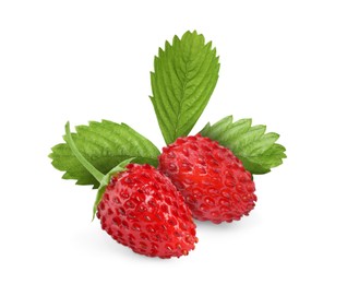 Image of Fresh ripe wild strawberries with green leaves isolated on white