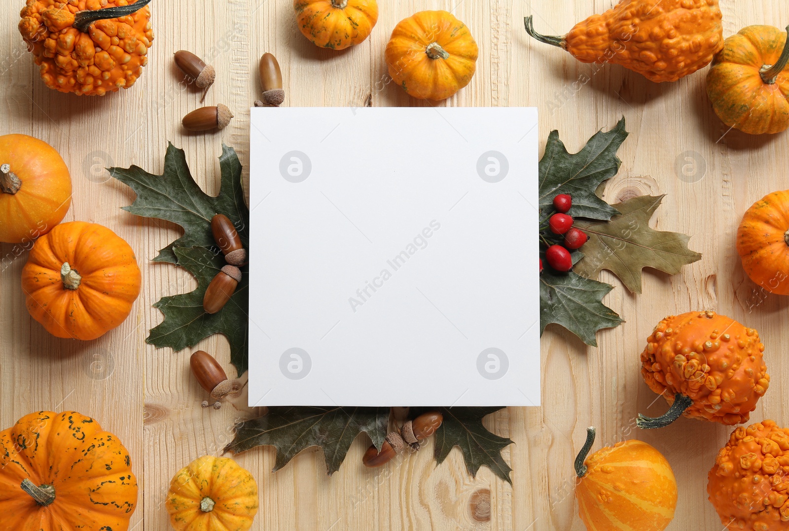 Photo of Thanksgiving day. Flat lay composition with pumpkins and blank card on light wooden table, space for text