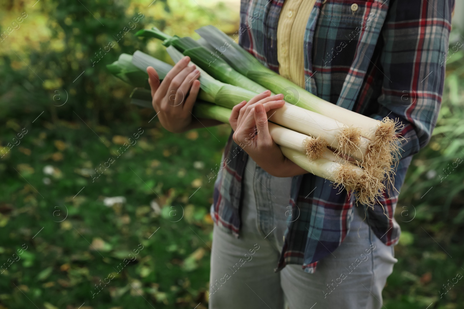 Photo of Woman holding fresh raw leeks outdoors, closeup. Space for text