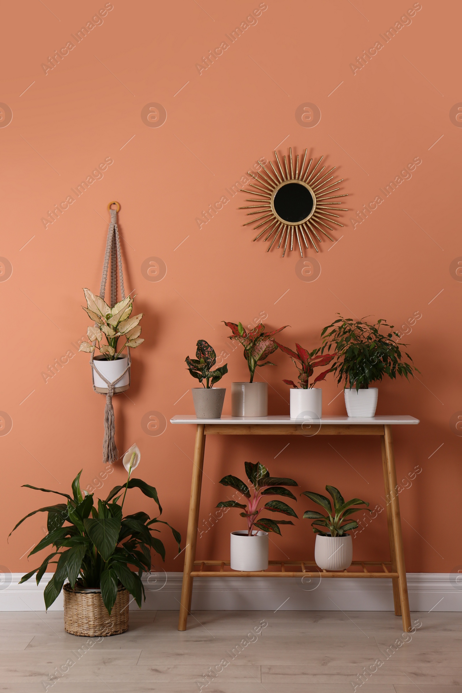 Photo of Different houseplants on table near orange coral wall