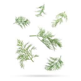 Image of Fresh green dill falling on white background