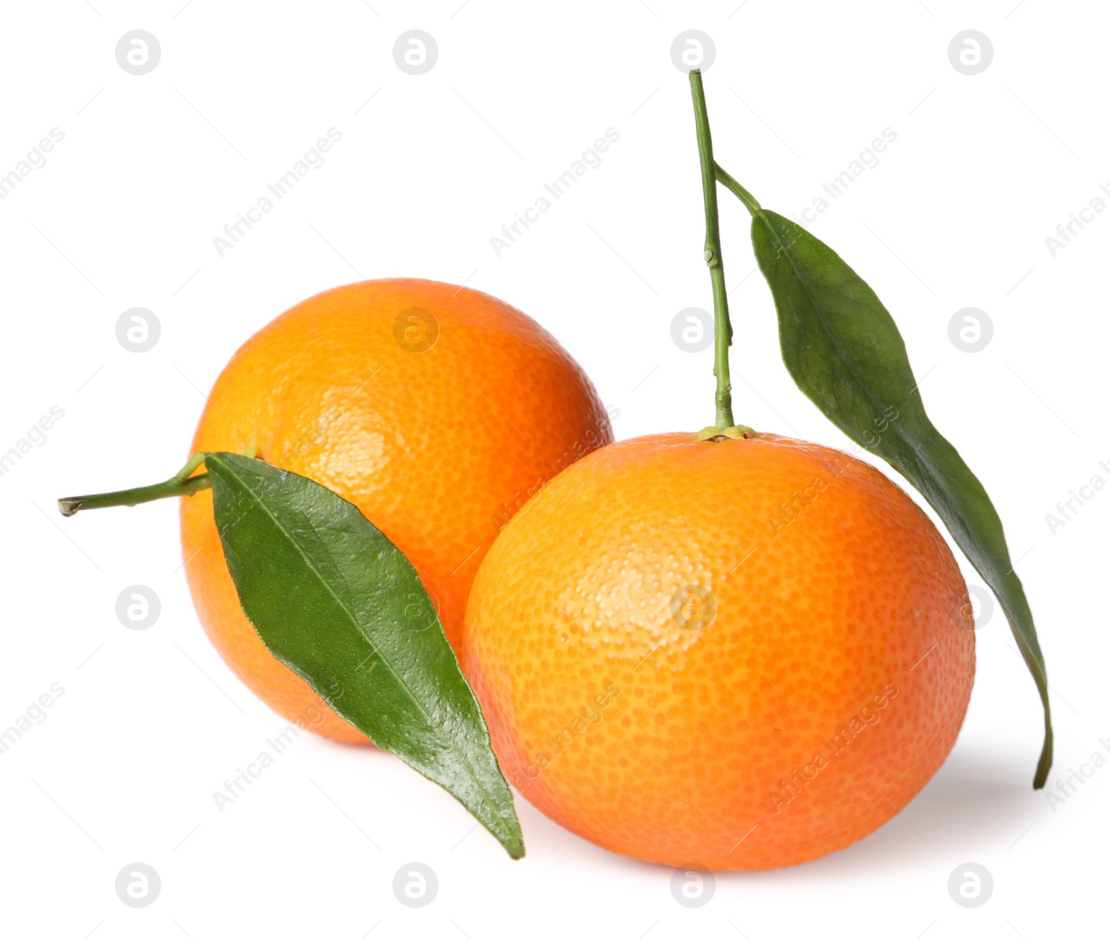 Photo of Fresh ripe juicy tangerines with green leaves isolated on white