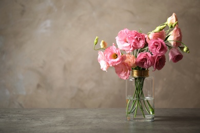 Beautiful pink Eustoma flowers in vase on table against grey background. Space for text