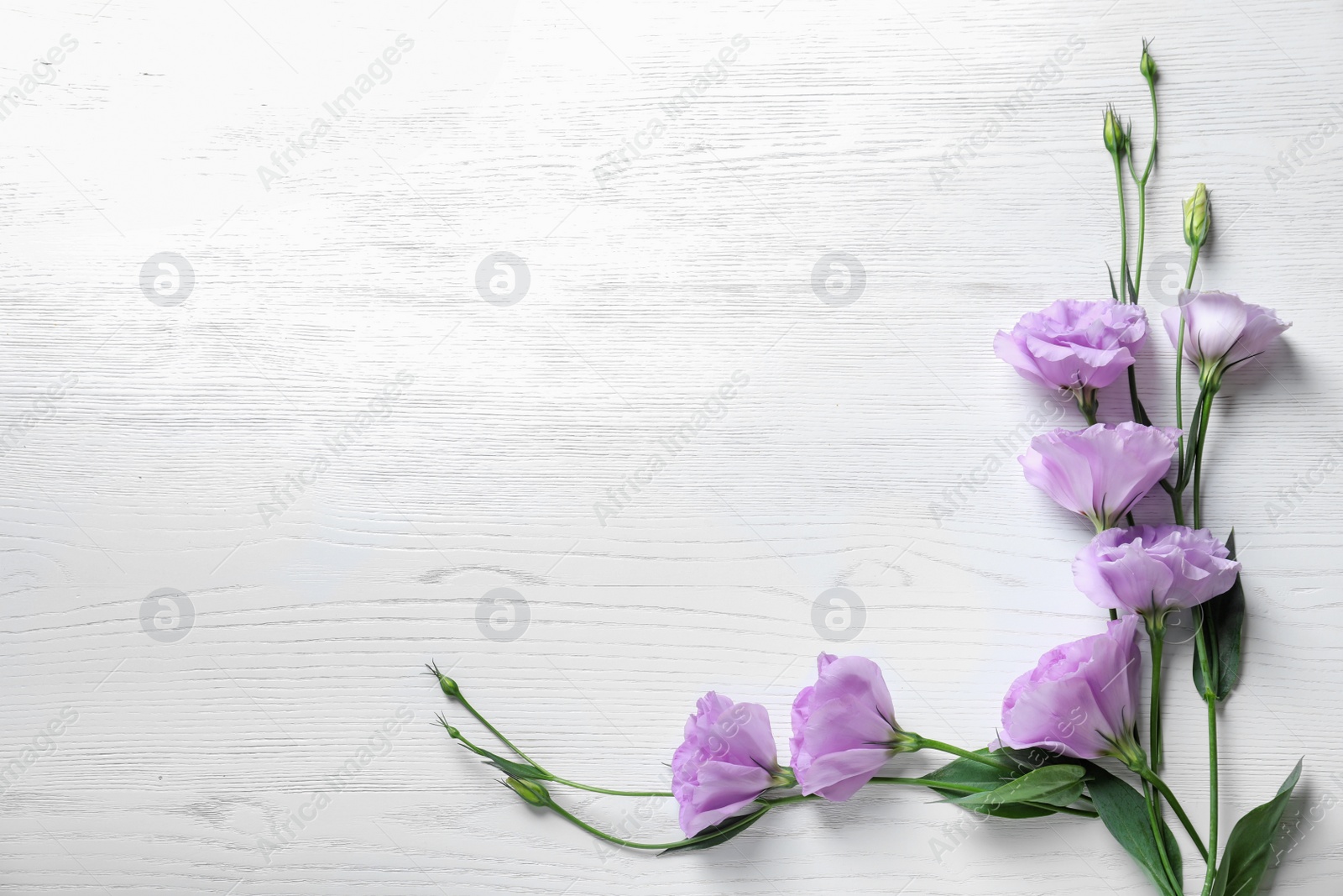 Photo of Flat lay composition with beautiful Eustoma flowers on light wooden background