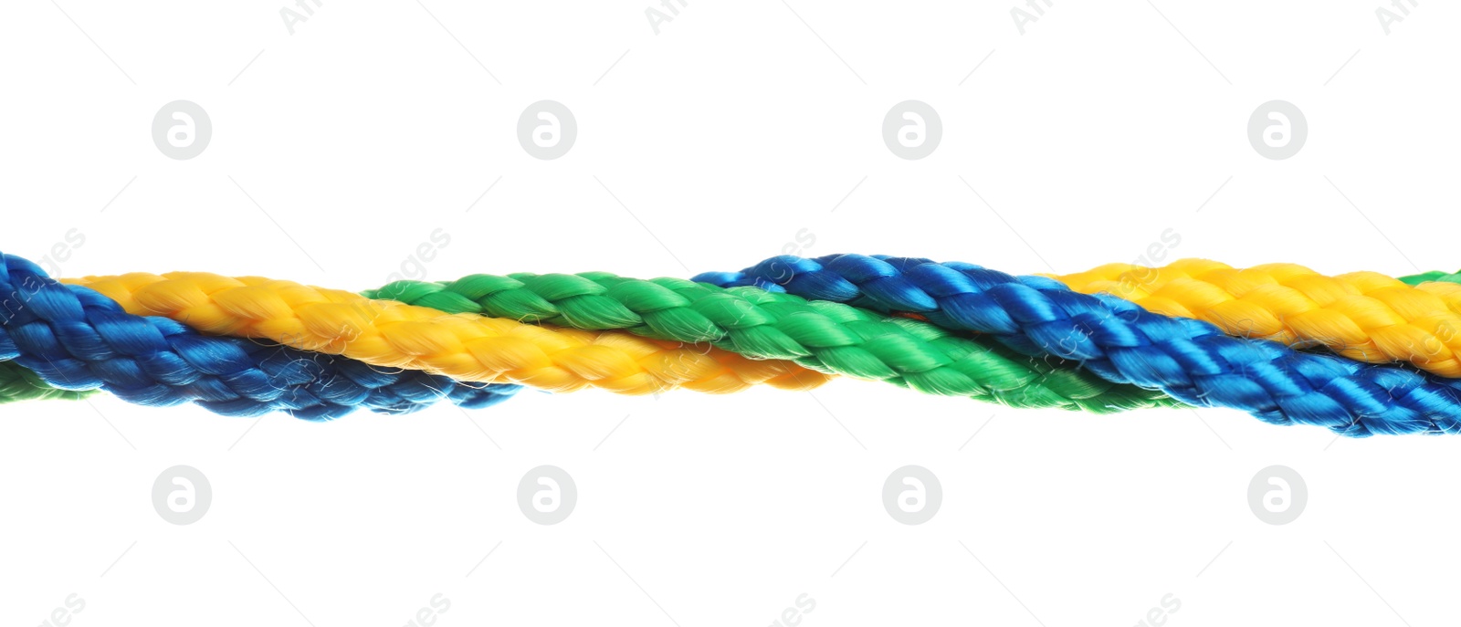 Photo of Twisted colorful ropes isolated on white. Unity concept