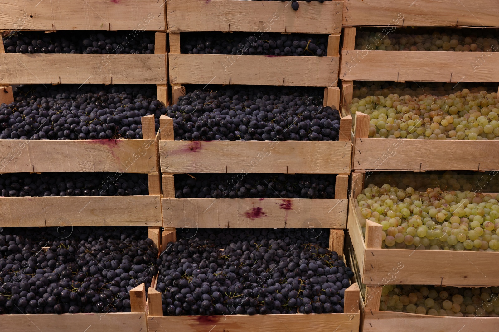 Photo of Fresh ripe grapes in wooden crates at wholesale market