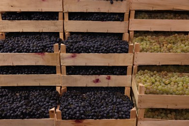 Photo of Fresh ripe grapes in wooden crates at wholesale market