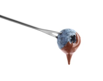 Blueberry with melted chocolate isolated on fondue fork against white background