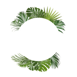 Image of Frame made of beautiful lush tropical leaves on white background, top view. Space for text