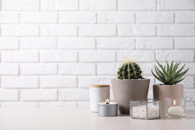 Photo of Beautiful Aloe and Cactus in pots with decor on grey table against white brick wall, space for text. Different house plants