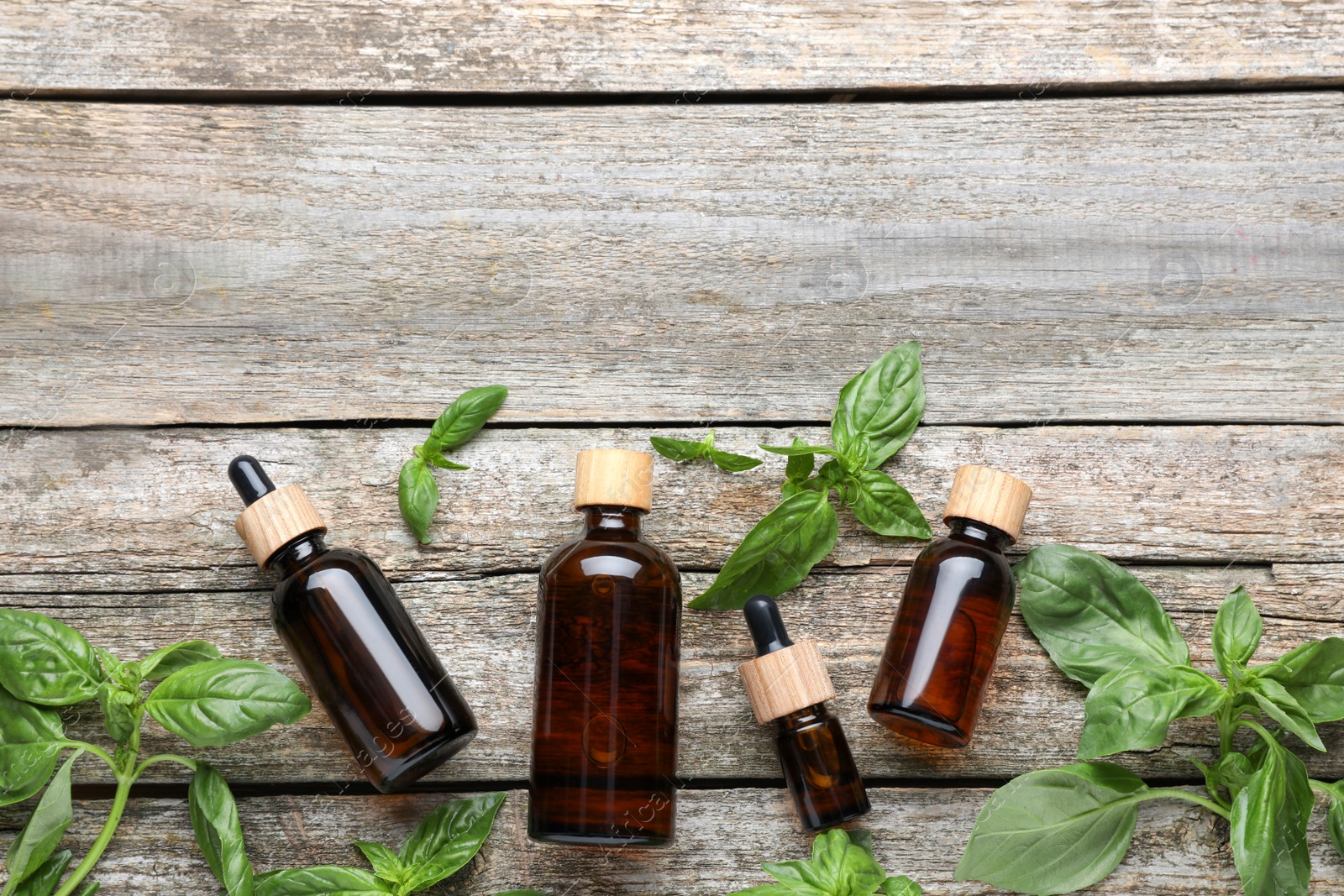 Photo of Bottles of basil essential oil with leaves on wooden table, flat lay. Space for text