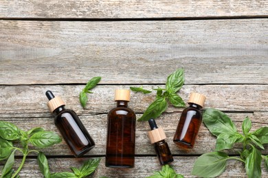 Bottles of basil essential oil with leaves on wooden table, flat lay. Space for text