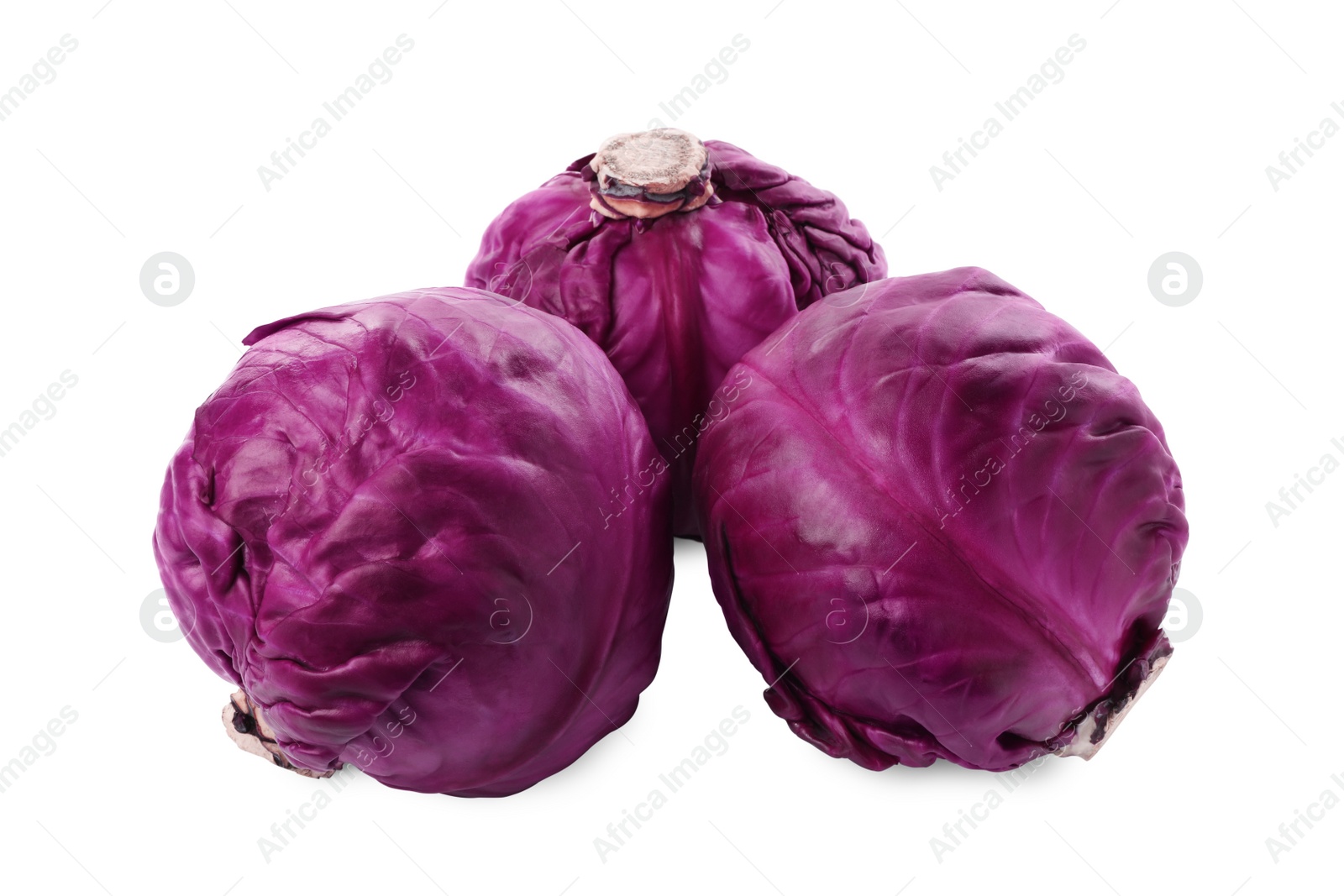 Photo of Fresh ripe red cabbages on white background